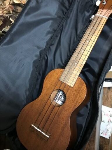 ウクレレ美品　ケース付き　stay homeの楽しい趣味に