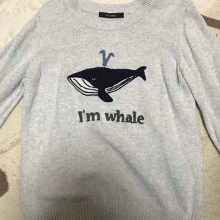 クジラ ニット 