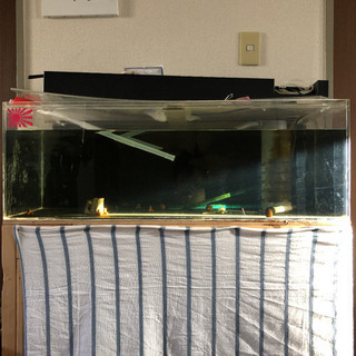 アクリル90cm水槽 | w2-worldbuffet.co.uk