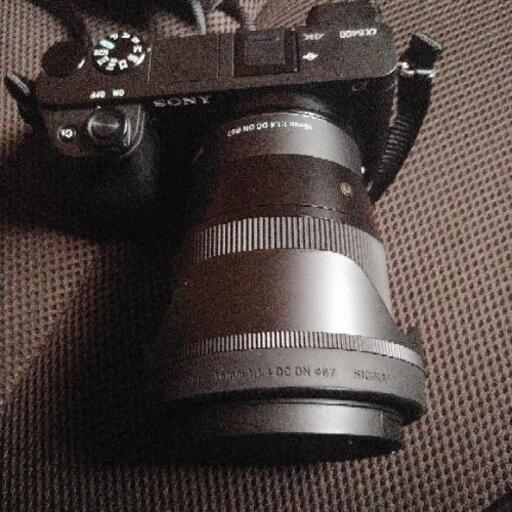 Sigma 16mm f1.4 dc dn ソニー eマウント用 レンズ