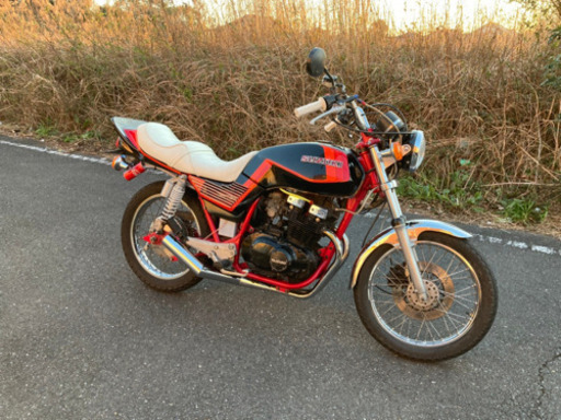 gsx250eゴキ
