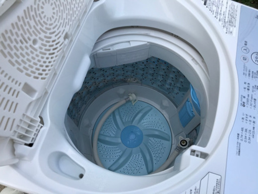 2018年製 美品 TOSHIBA 5kg 全自動洗濯機 AW-5G6 浸透力×洗浄力 「浸透パワフル洗浄」