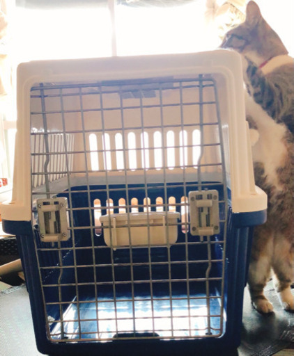 受け渡し決定❣️美品　エアトラベルキャリー 犬　猫　ペット用　ケージ 大