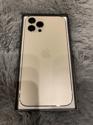 iPhone 12 Pro Max 香港版 DUAL SIMフリー NOカメラ音 iPhone 12 Pro Max 香港版 DUAL SIMフリー NOカメラ音