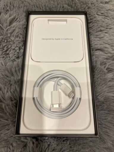 iPhone 12 Pro Max 香港版 DUAL SIMフリー NOカメラ音