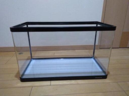 熱帯魚　水槽など一式　9000円→8000円値下げ！