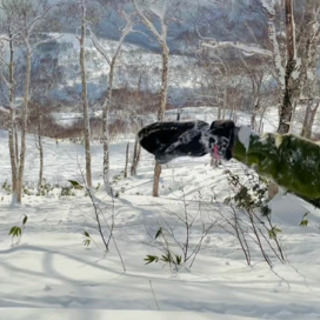 🔰リフトの乗り方⛷教えます！🏂