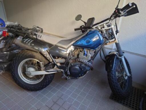 tw200　希少