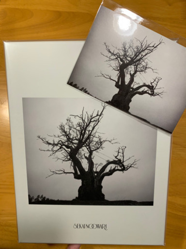 SEKAI NO OWARI 2010-2019 完全限定プレミアムBOX 新品
