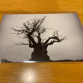 SEKAI NO OWARI 2010-2019 完全限定プレミアムBOX 新品