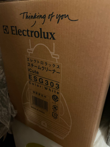 エレクトロラックス　スチームクリーナー