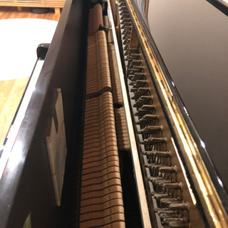 美品カワイ　BL-31 スペシャル