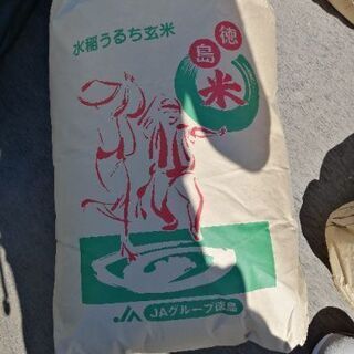 令和2年産　徳島県阿波市産コシヒカリ　玄米30kg