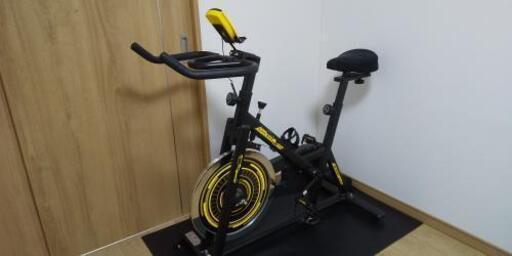 スピンバイクALINCO(アルインコ）、低反発サドルカバー・保護マット付 本物