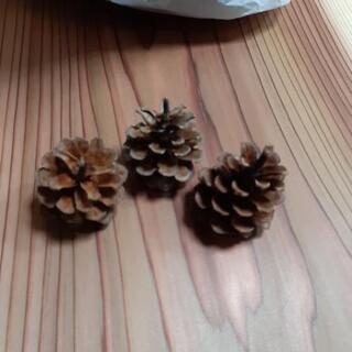 埼玉県の中古松ぼっくりが無料 格安で買える ジモティー