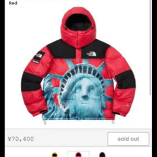 【ネット決済・配送可】SUPREME  THE NORTH FA...