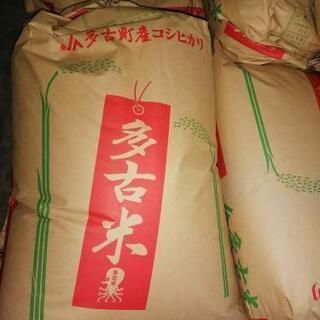 多古米　コシヒカリ玄米30kg