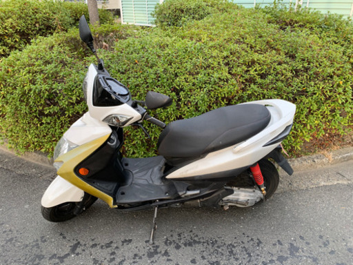 シグナスx シグナスX 3型 3型 se44j SE44J 国内 台湾 距離浅 | stainu