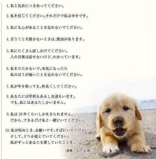 里親様が 決まりました ありがとうございました Riri Ann 大村のその他の里親募集 ジモティー