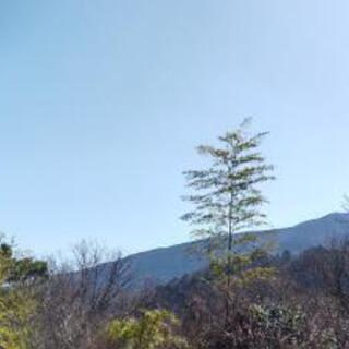  和の国の物語 − 神奈川県