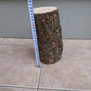 椎茸ほだ木　10本セット 【お庭やお部屋で】 椎茸ほだ木 10本セット 【お庭やお部屋で】