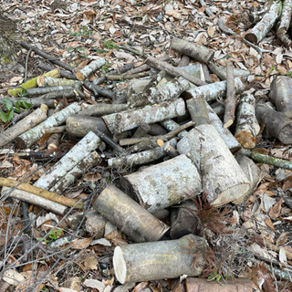 薪　伐採木　角材