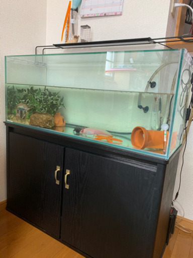 水槽セット