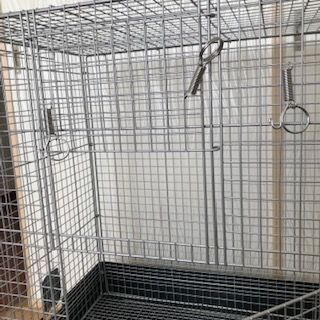 【手渡し希望】イージーホーム60ハイ　小動物用ケージ２か月使用　ウサギ、リス、チンチラ、デグー、小鳥さんに 手渡し希望】イージーホーム60ハイ 小動物用ケージ2か月使用 ウサギ