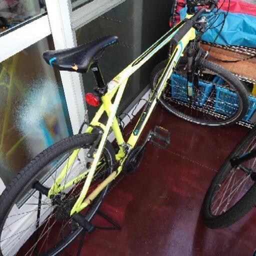 GT アグレッサースポーツ　身長180cm前後の方