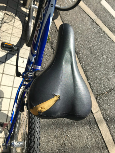 ジャイアント ロック4500 とても綺麗です