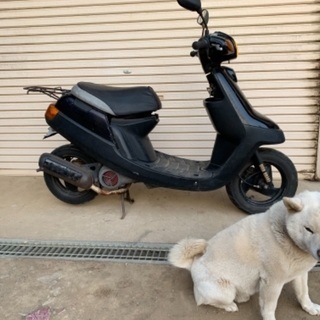 ジョグ　アプリオ　TYPE2 4LV 実働　現状車　日立南太田IC