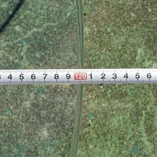 山口)下松市より ADAL(アダル) ガラステーブル リンクローテーブル LAL-120 W120×H38cm クリアガラス15mm厚 BIZHB17H