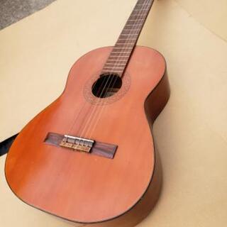 クラシックギターAle Gut65A