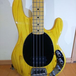 ERNIE BALL MUSICMAN STINGRAY EX /スティングレイEX | cnym.com.ar