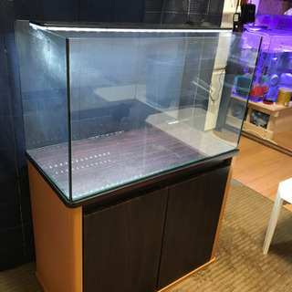 ガラス水槽 60㌢セット