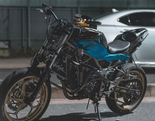 エクストリーム スタント z250sl ninja250sl