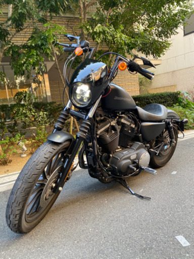 早い者勝ち‼️ハーレーダビットソンXL883N アイアン09 美車‼️