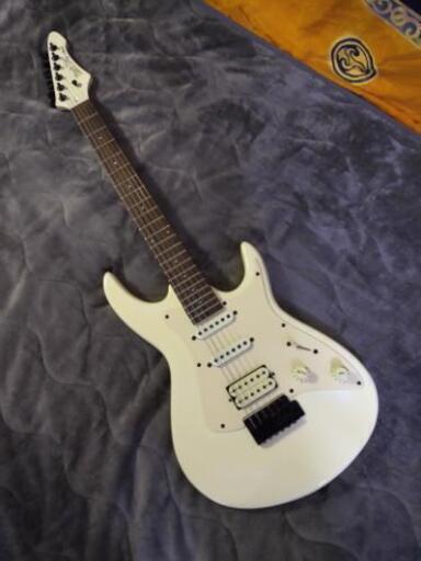 ★入門用に★中古 Aria（アリア）BLACK DOG 美品★