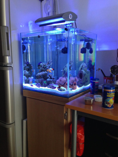 【海水水槽セット】45cmオーバーフロー水槽