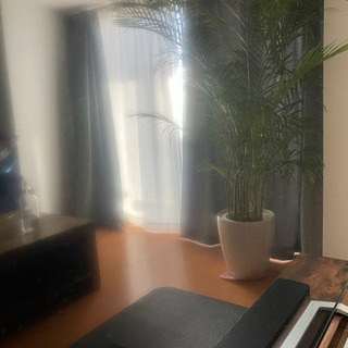 TOSHIBA 東芝 55型テレビ　4Ｋ対応