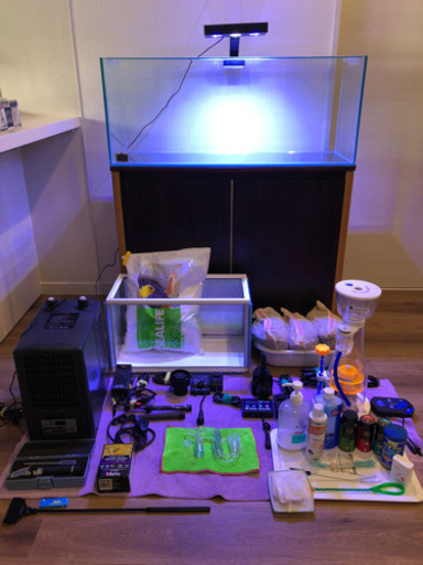 海水魚　水槽一式セット　引取限定