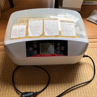 孵卵器