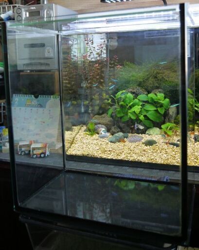 人気のレグラスシリーズ コトブキ工芸レグラスフラット２５ 水槽 悠斗 横浜のその他の中古あげます 譲ります ジモティーで不用品の処分