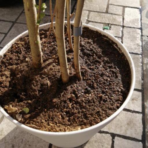 園芸用土 土のみ ゆいちゃんママ 武蔵小金井の家具の中古あげます 譲ります ジモティーで不用品の処分