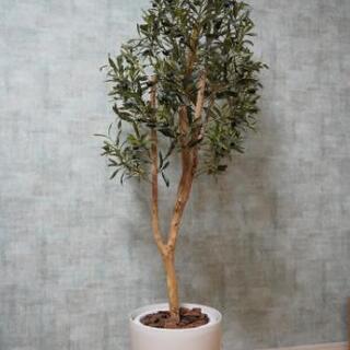 フェイクグリーン 大型 人工観葉植物 オリーブ実付き 高さ１.５...