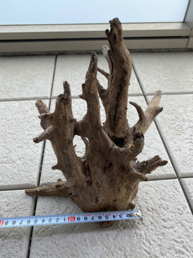 アクアリウム用流木 しんた 豊田市の家具の中古あげます 譲ります ジモティーで不用品の処分 アクアリウム用流木 しんた 豊田市の家具の中古あげます 譲ります ジモティーで不用品の処分