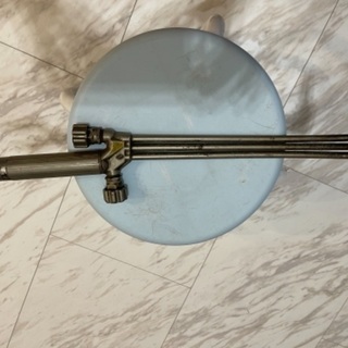 虎の剥製 受付停止中