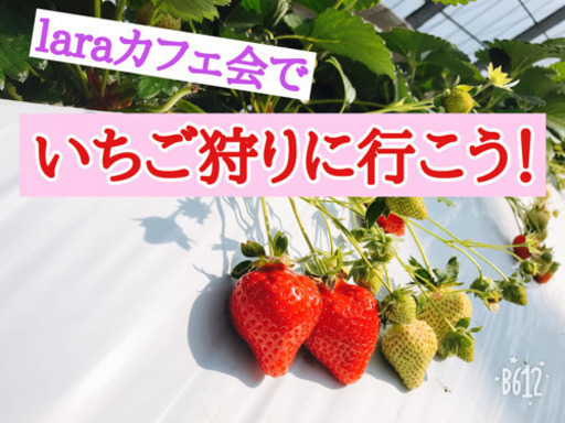 2月21日 日 11時から 古賀 Laraカフェ会でいちご狩りに行こう Kumi 古賀 のその他のメンバー募集 無料掲載の掲示板 ジモティー 2月21日 日 11時から 古賀 Laraカフェ会でいちご狩りに行こう Kumi 古賀 のその他のメンバー募集 無料掲載の掲示板 ジモティー