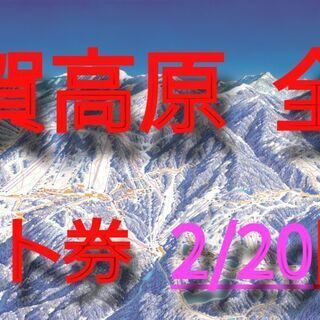 【ネット決済】【2/20限定】志賀高原全山スキーリフト券大人2枚...