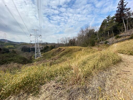 山林（竹林）をお売りします 新神戸トンネル箕谷出口から車で10分ほど ...